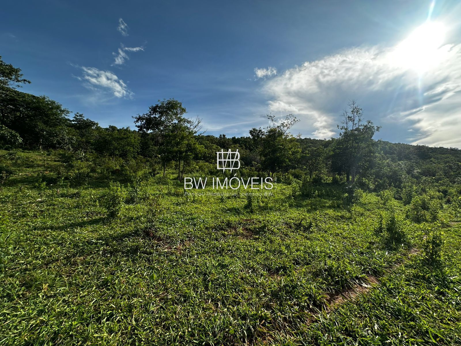 Fazenda à venda com 1 quarto, 1161600m² - Foto 7