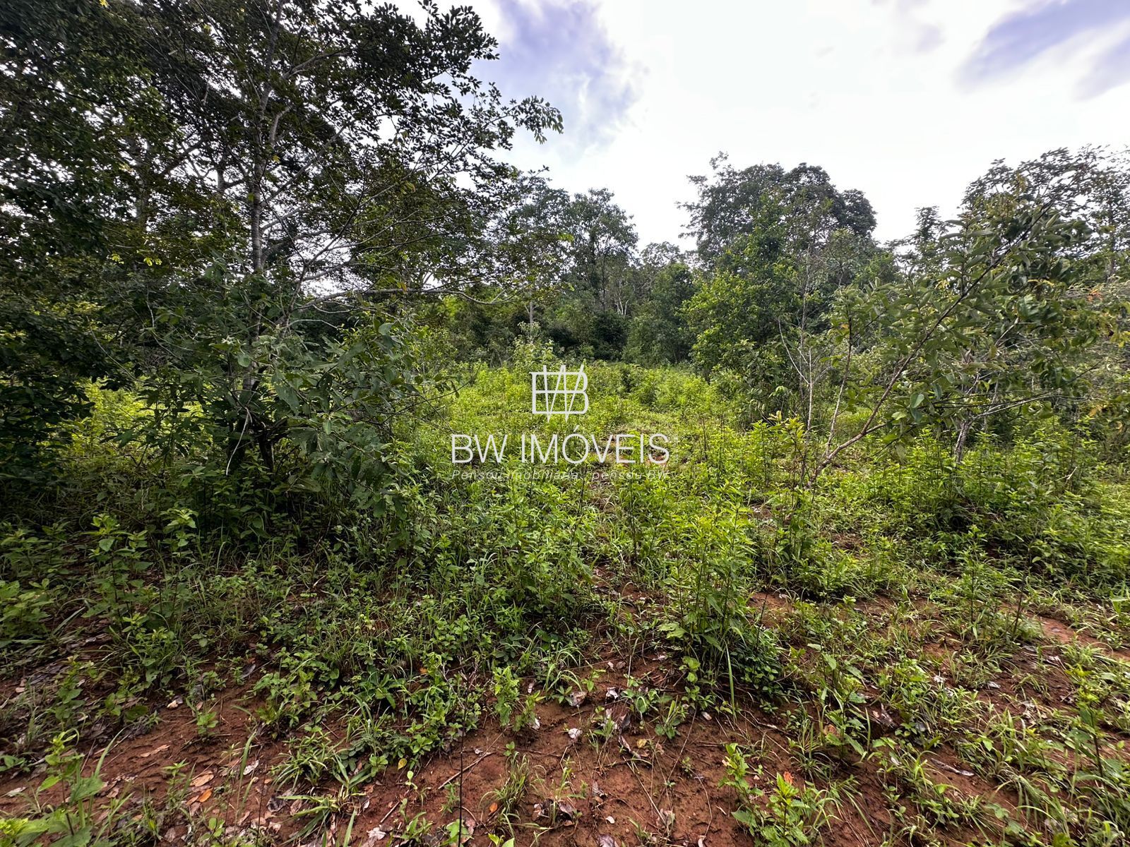 Fazenda à venda com 1 quarto, 1161600m² - Foto 13