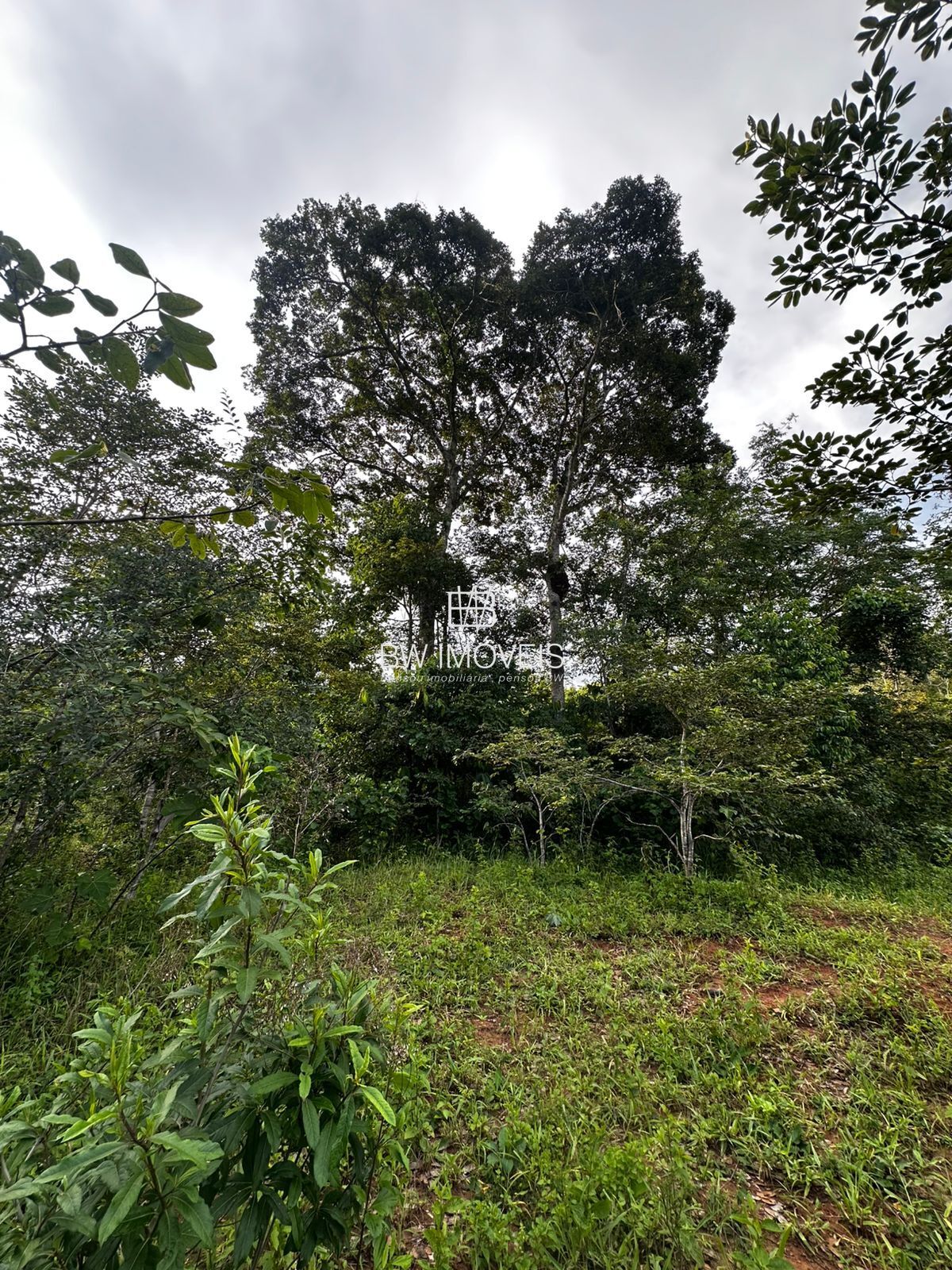 Fazenda à venda com 1 quarto, 1161600m² - Foto 19