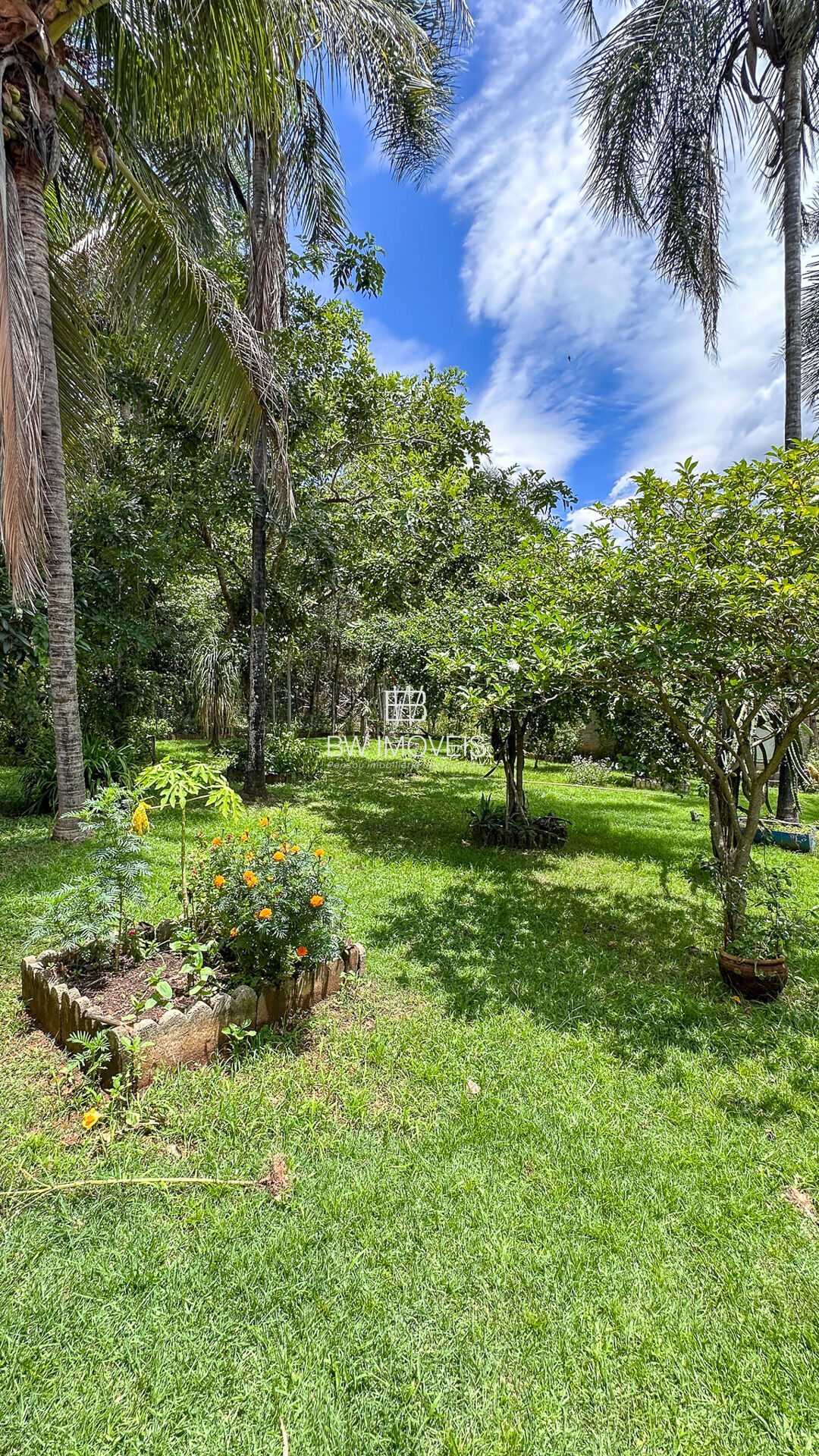 Sítio à venda com 3 quartos, 72600000m² - Foto 6