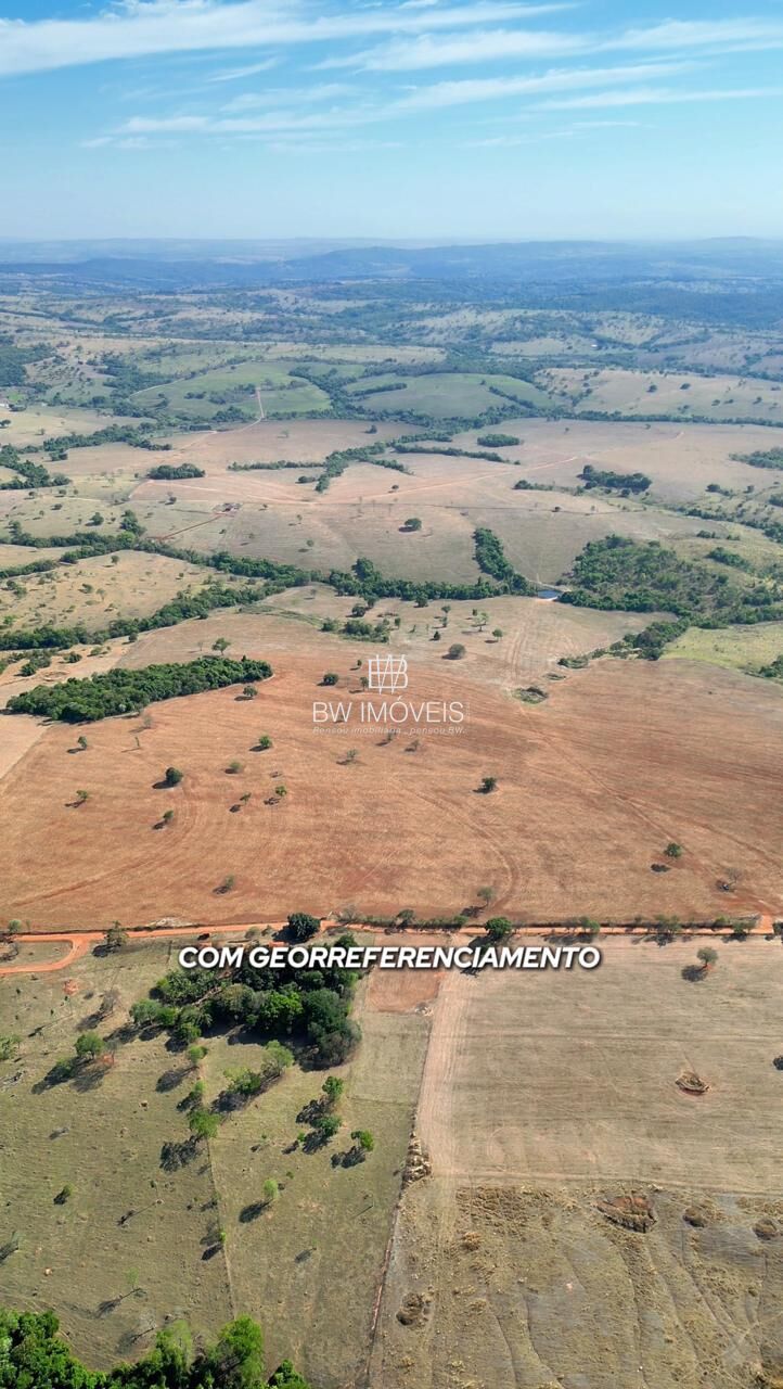 Fazenda, 87 hectares - Foto 23