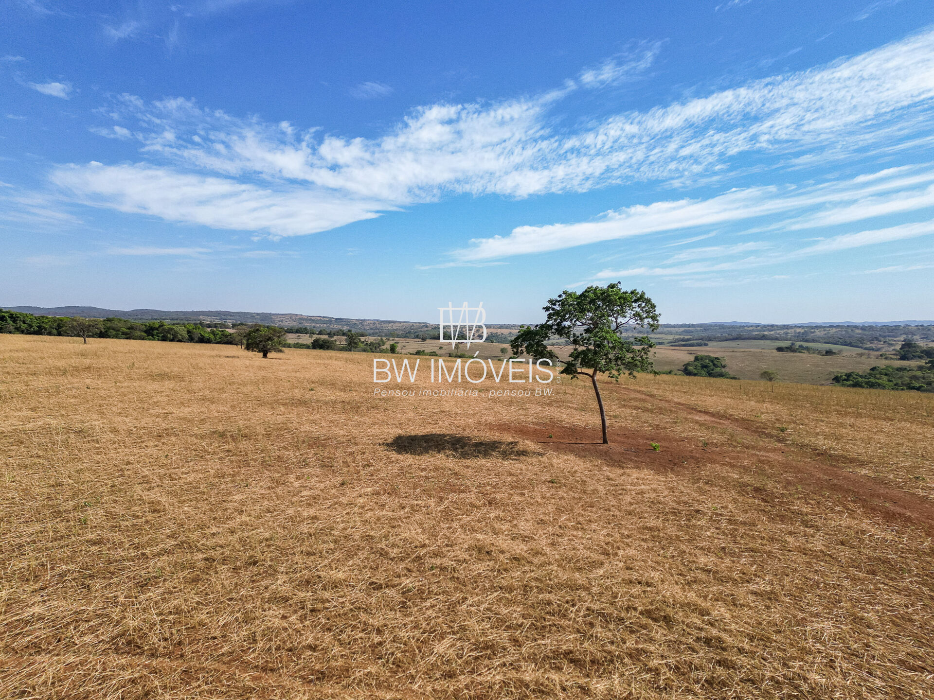 Fazenda-Sítio-Chácara, 87 hectares - Foto 4