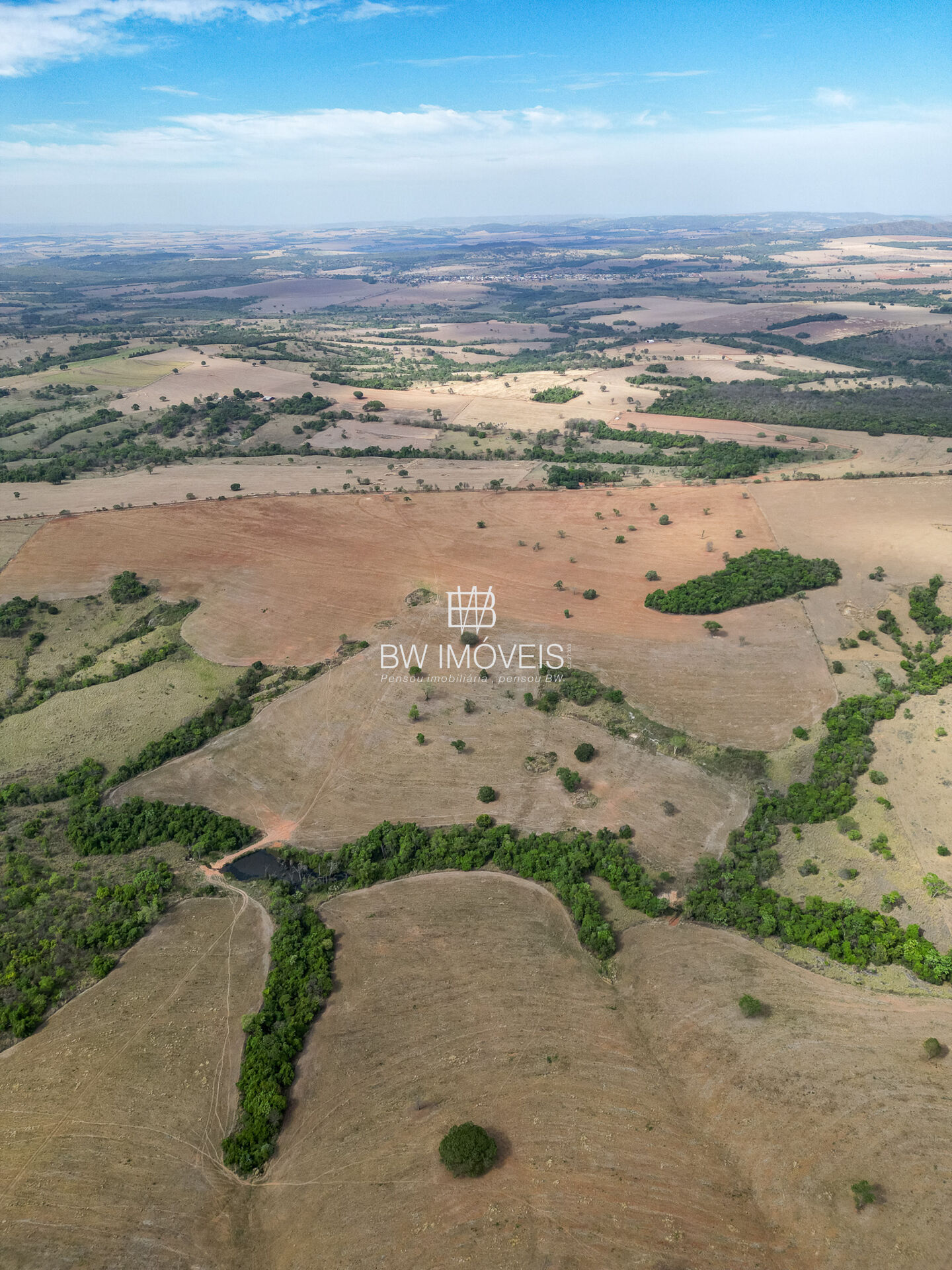 Fazenda-Sítio-Chácara, 87 hectares - Foto 1
