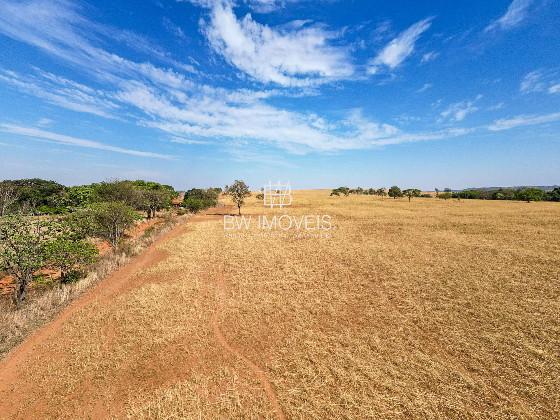 Fazenda-Sítio-Chácara, 87 hectares - Foto 3
