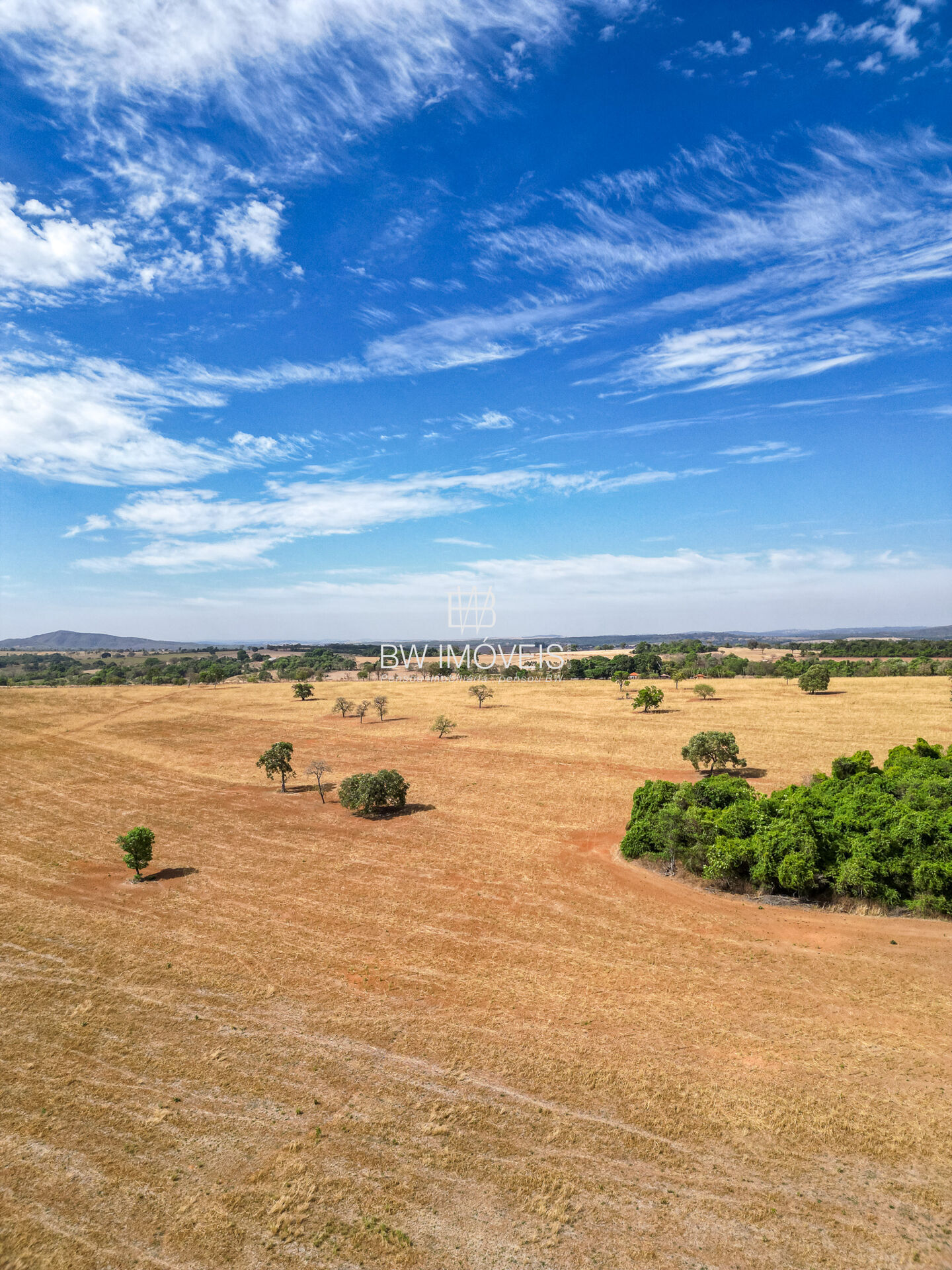 Fazenda-Sítio-Chácara, 87 hectares - Foto 5