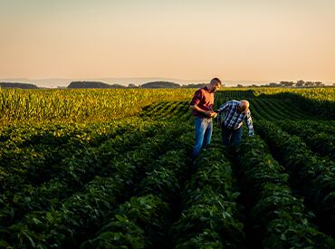 Áreas Cultivadas no Brasil e no Mundo: O Potencial Agrícola Brasileiro em Perspectiva Global