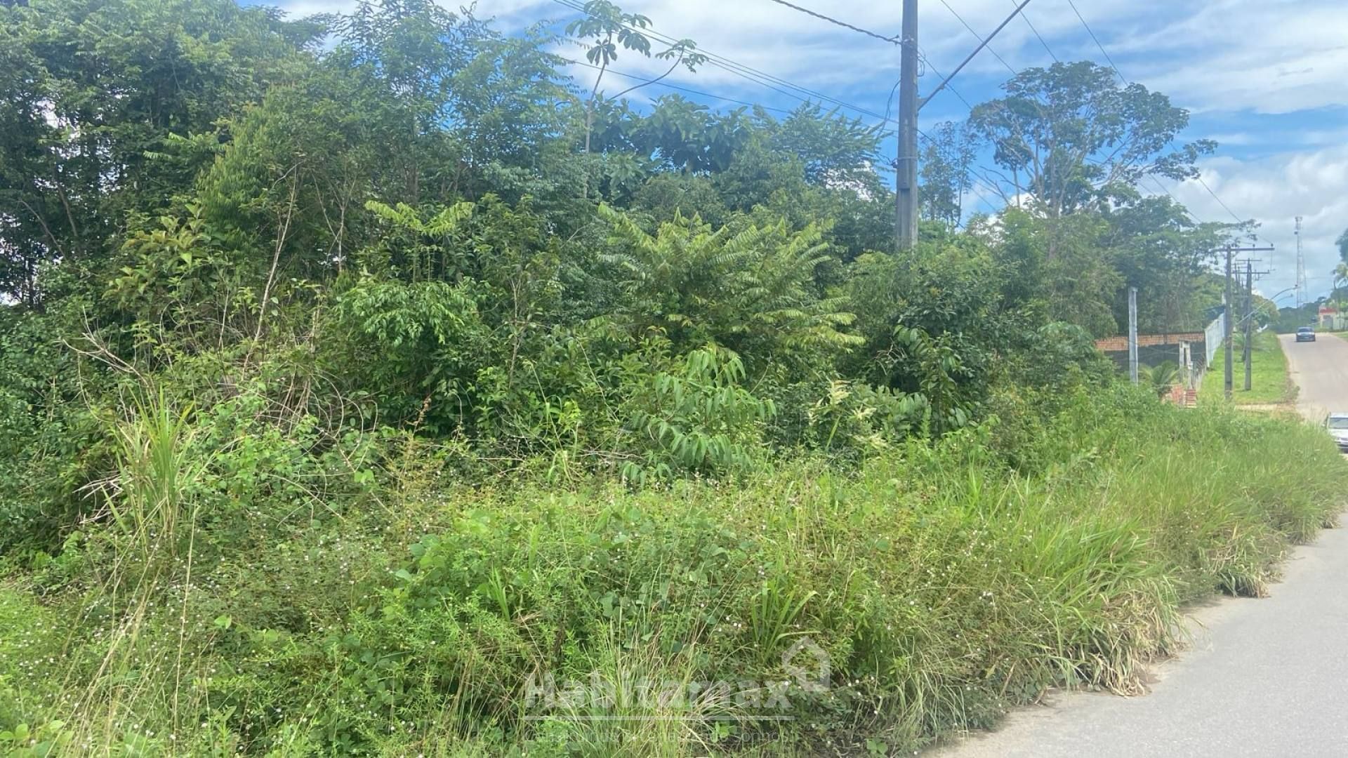 Terreno à venda, 5000m² - Foto 2