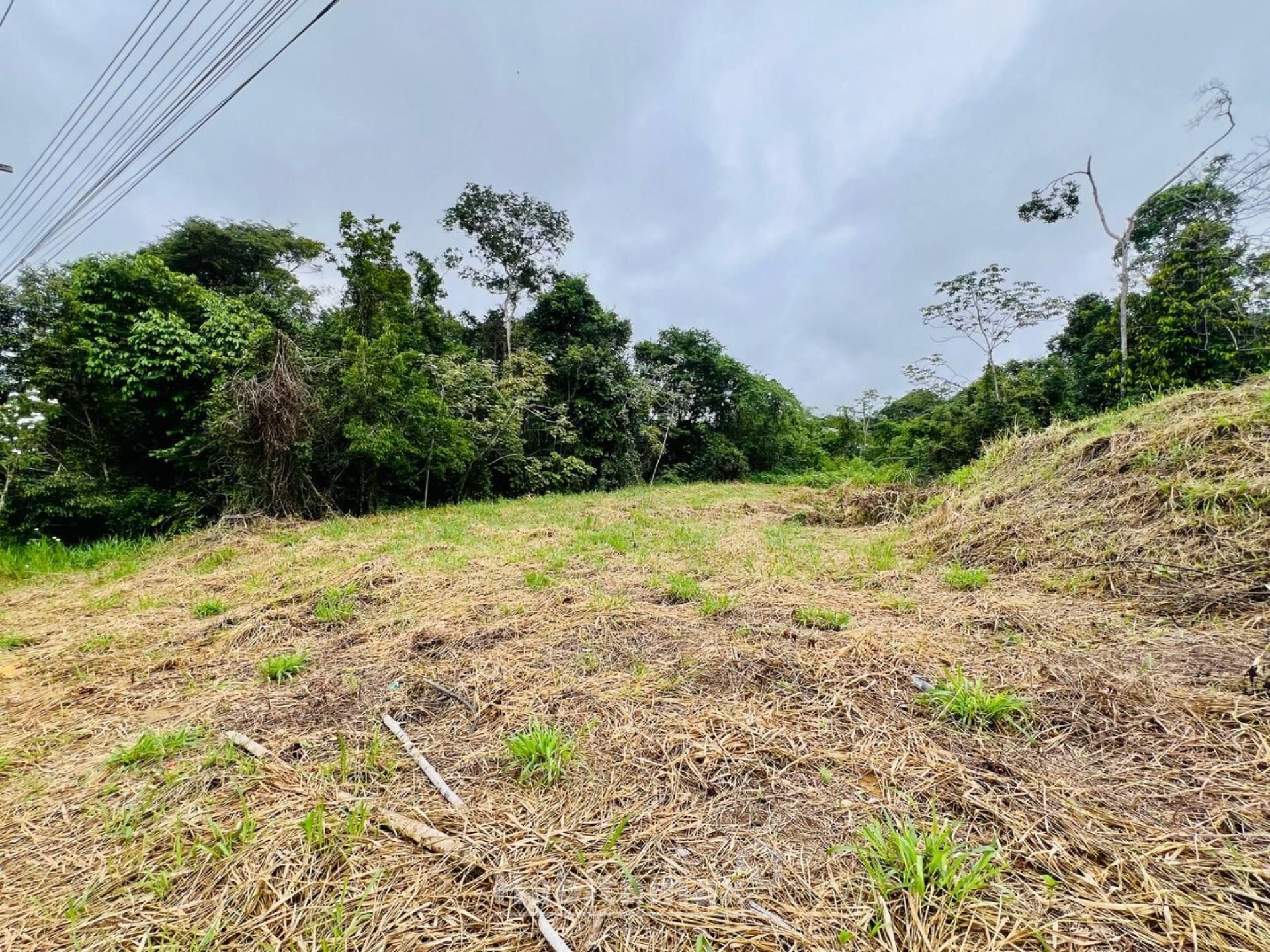 Terreno à venda, 549m² - Foto 3