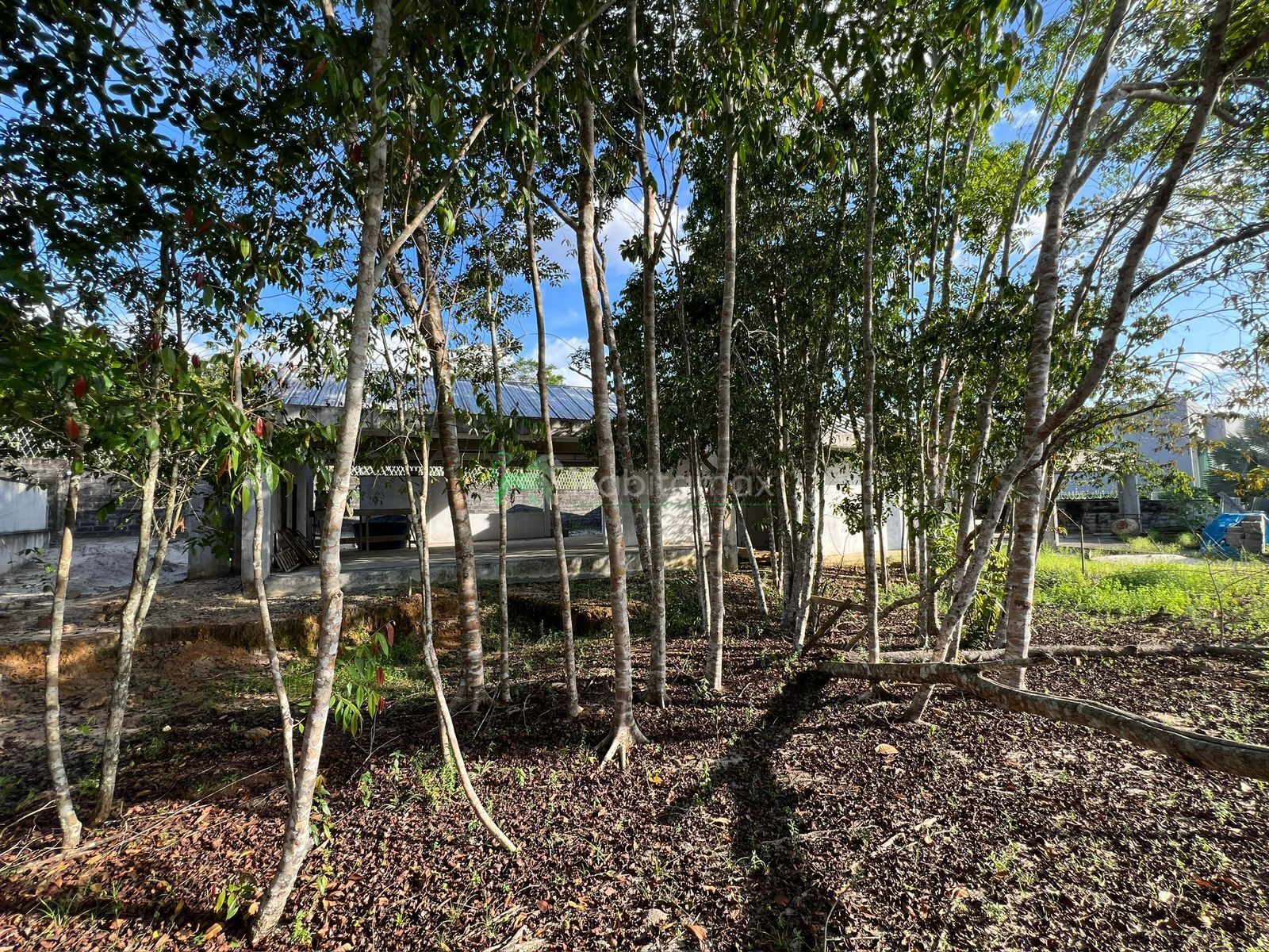 Terreno, 1120 m² - Foto 3