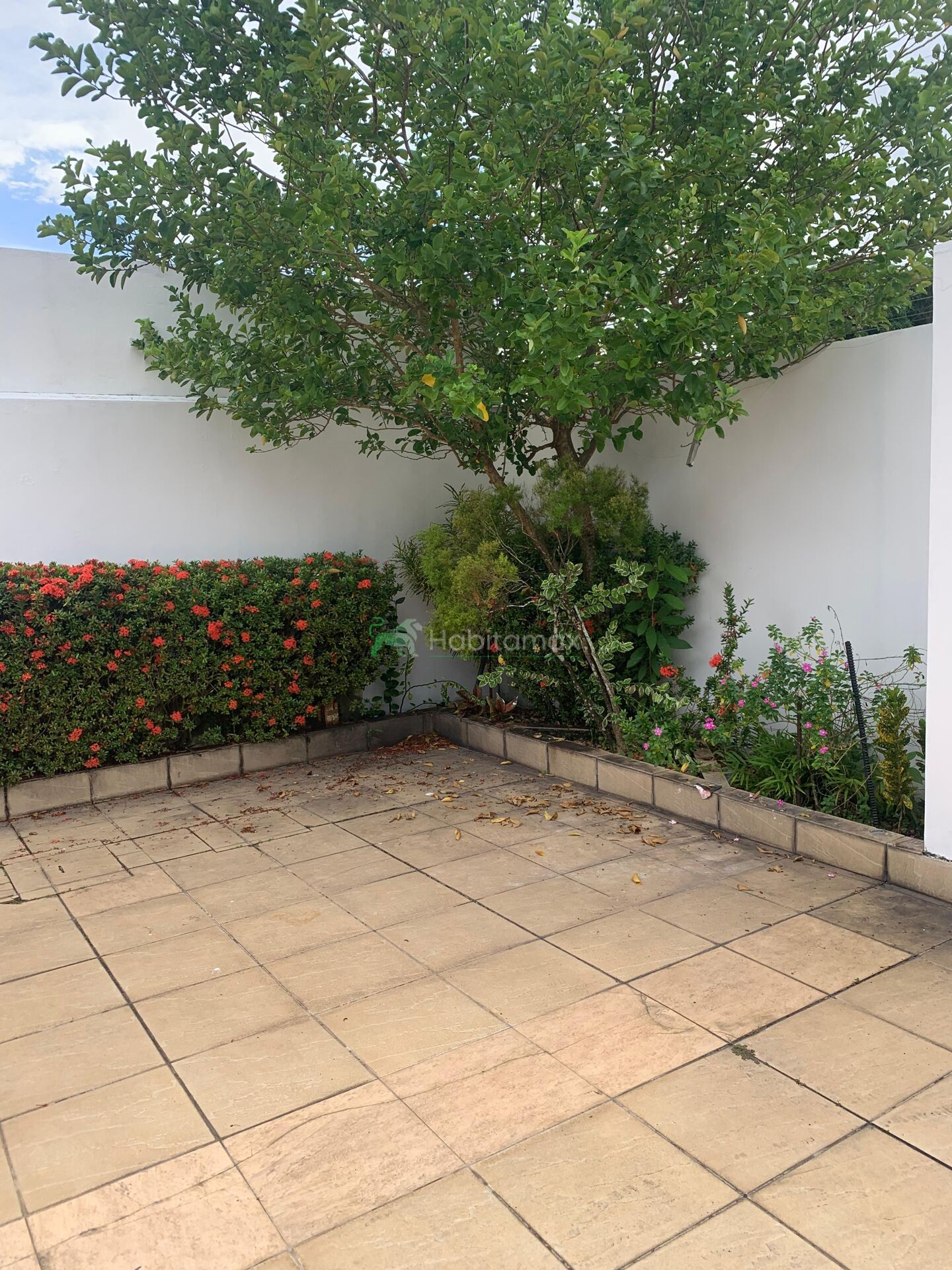 Casa, 5 quartos, 480 m² - Foto 38