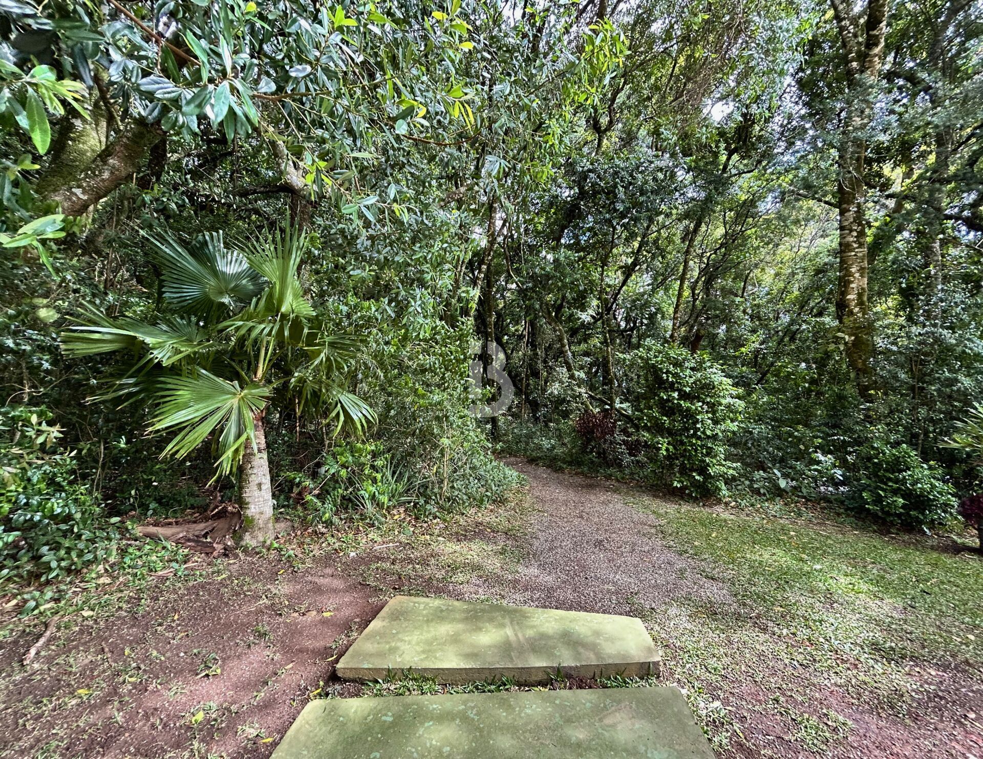 Apartamento, 2 quartos, 60 m² - Foto 29