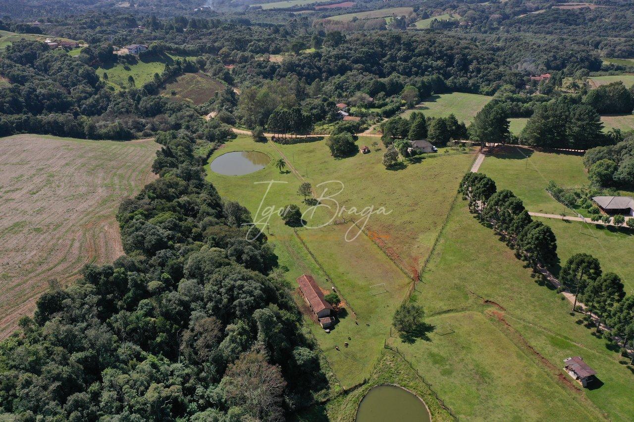 Fazenda à venda com 2 quartos, 22000m² - Foto 5