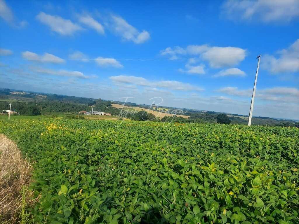 Fazenda à venda, 30000m² - Foto 42