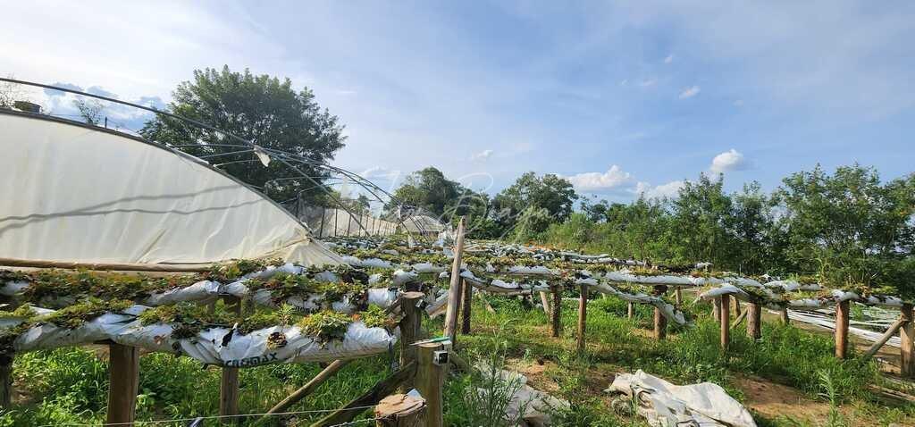 Fazenda à venda, 30000m² - Foto 47