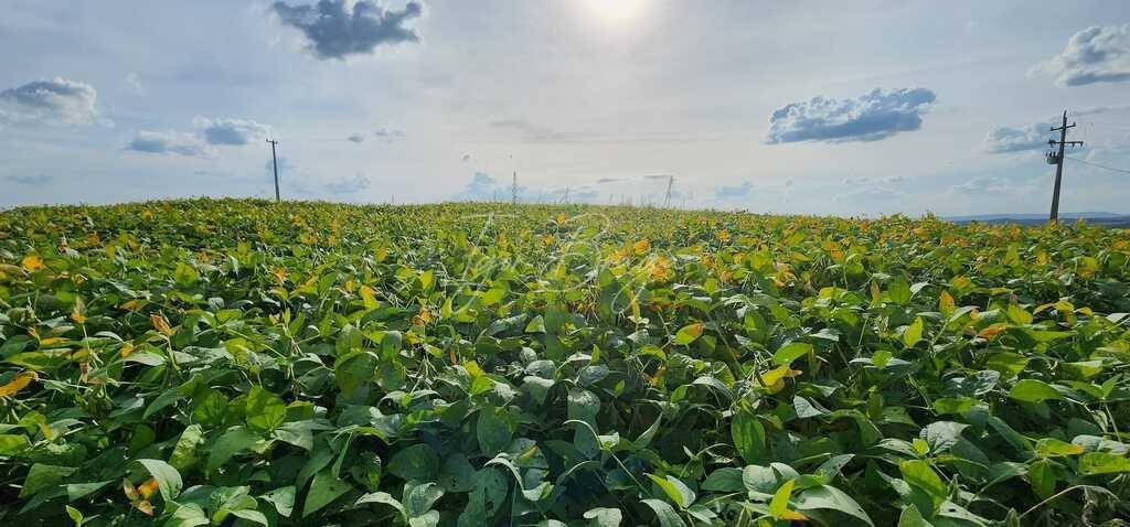 Fazenda à venda, 30000m² - Foto 35