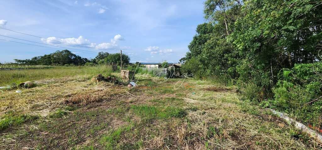 Fazenda à venda, 30000m² - Foto 41