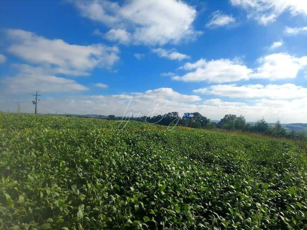 Fazenda à venda, 30000m² - Foto 38