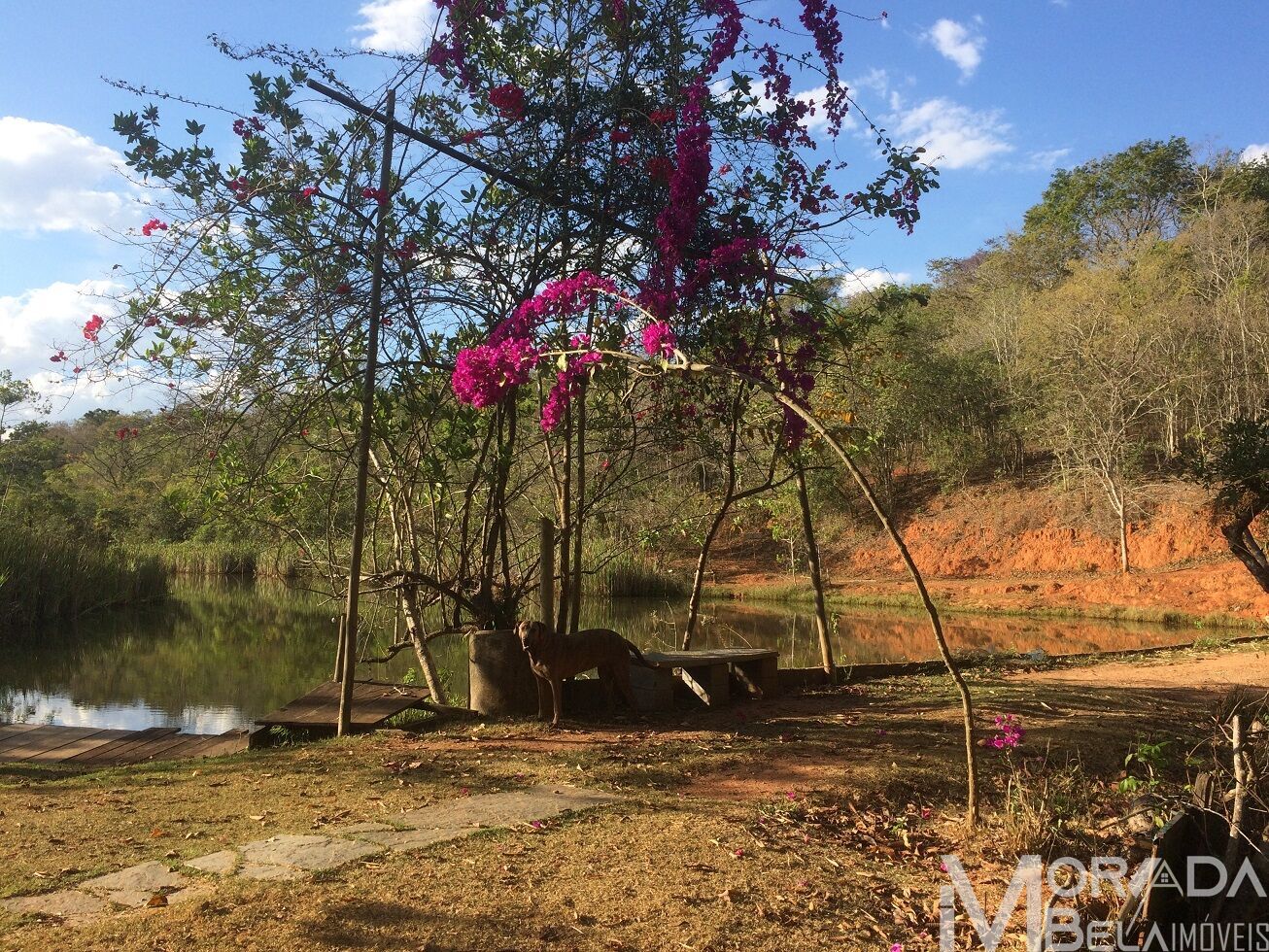 Fazenda à venda com 8 quartos, 300m² - Foto 16