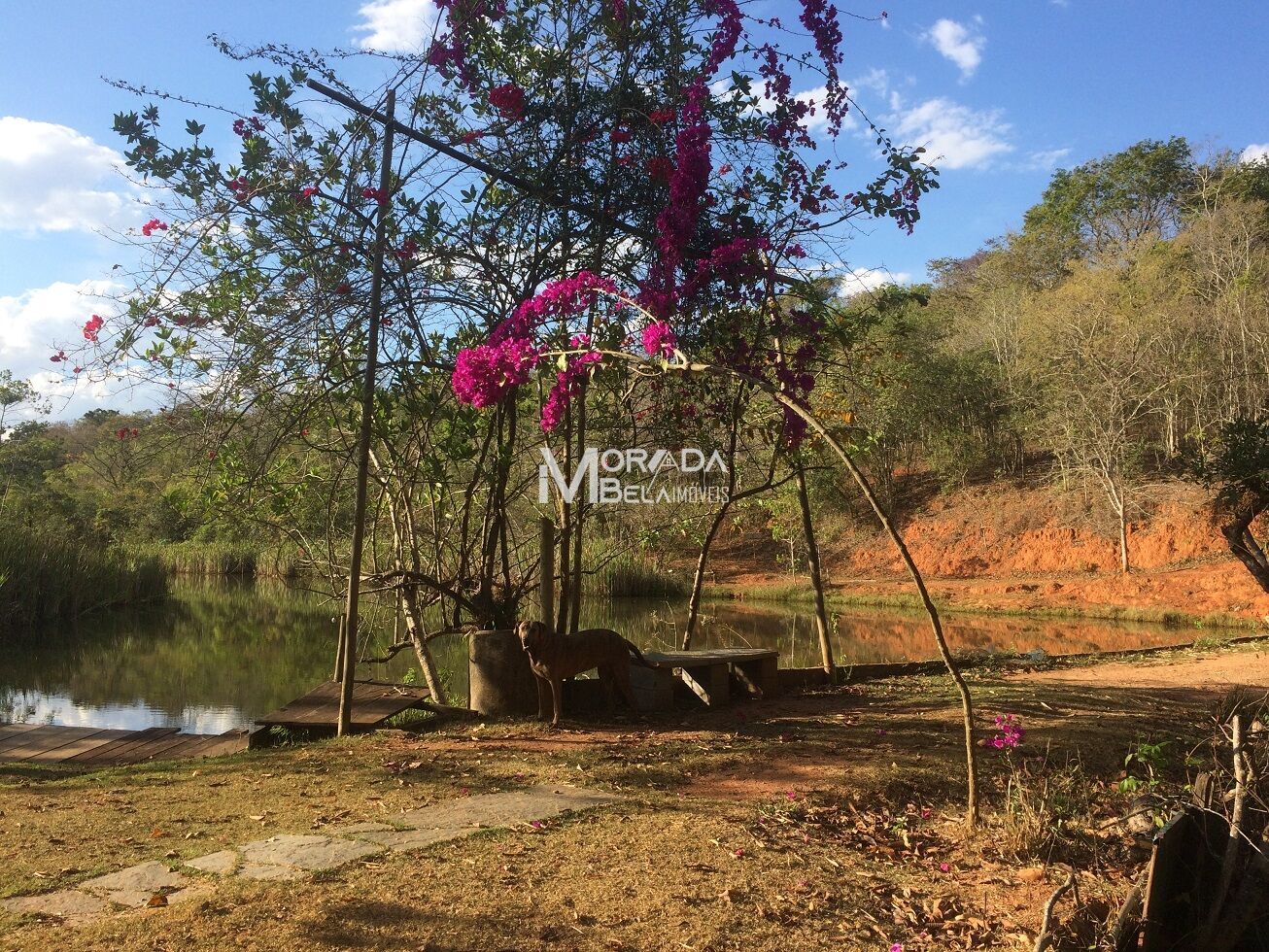 Fazenda, 2 hectares - Foto 16