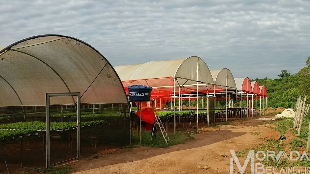 Fazenda à venda com 8 quartos, 300m² - Foto 10