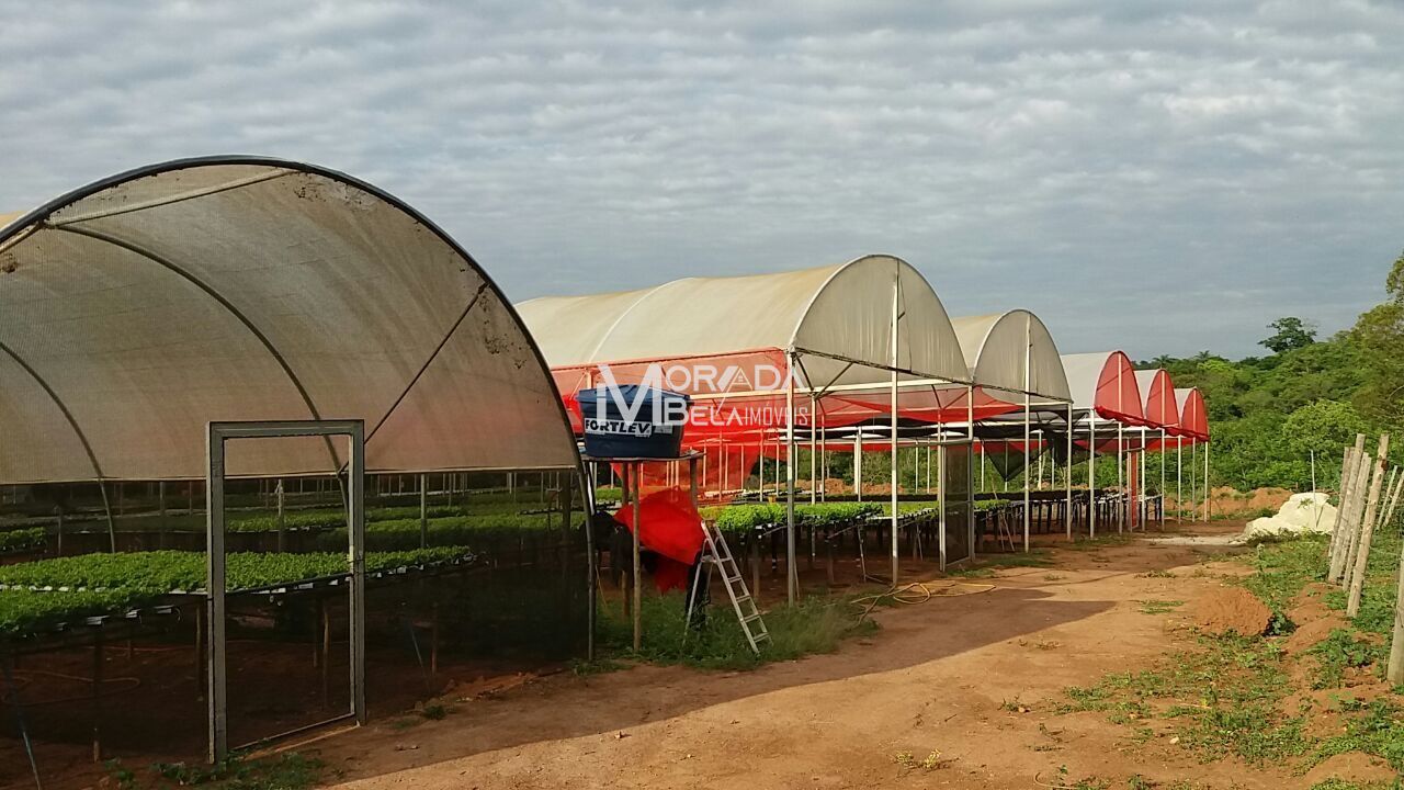 Fazenda, 2 hectares - Foto 10