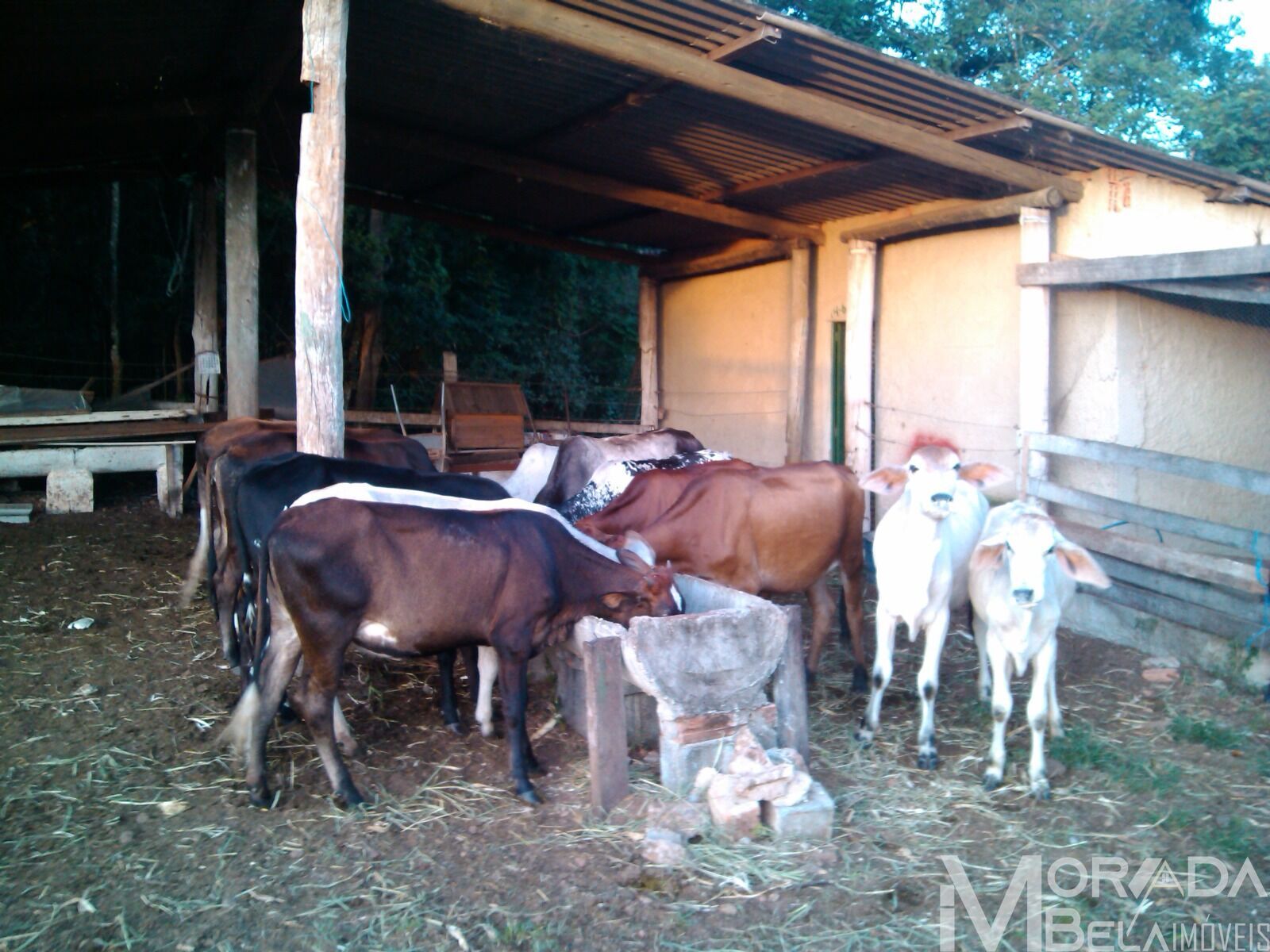 Fazenda à venda com 8 quartos, 300m² - Foto 13