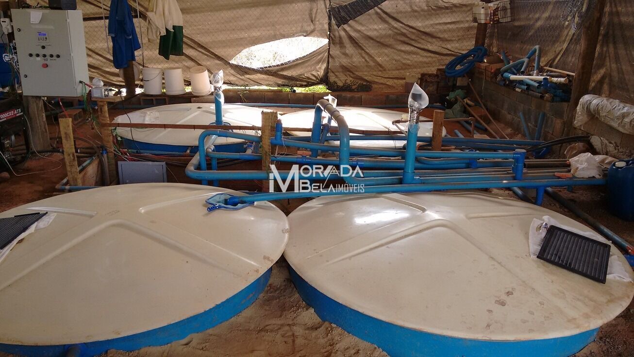 Fazenda, 2 hectares - Foto 20