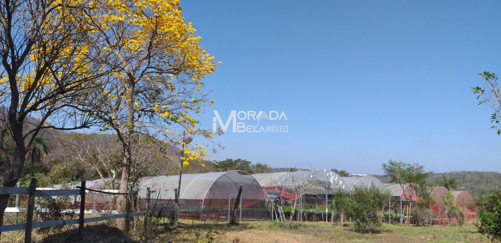 Fazenda, 2 hectares - Foto 11