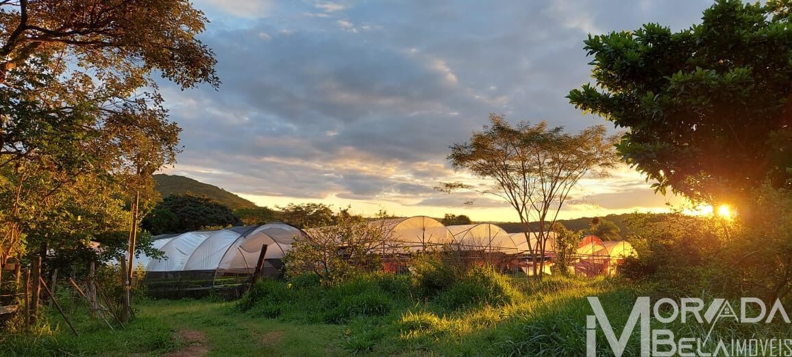 Fazenda à venda com 8 quartos, 300m² - Foto 8