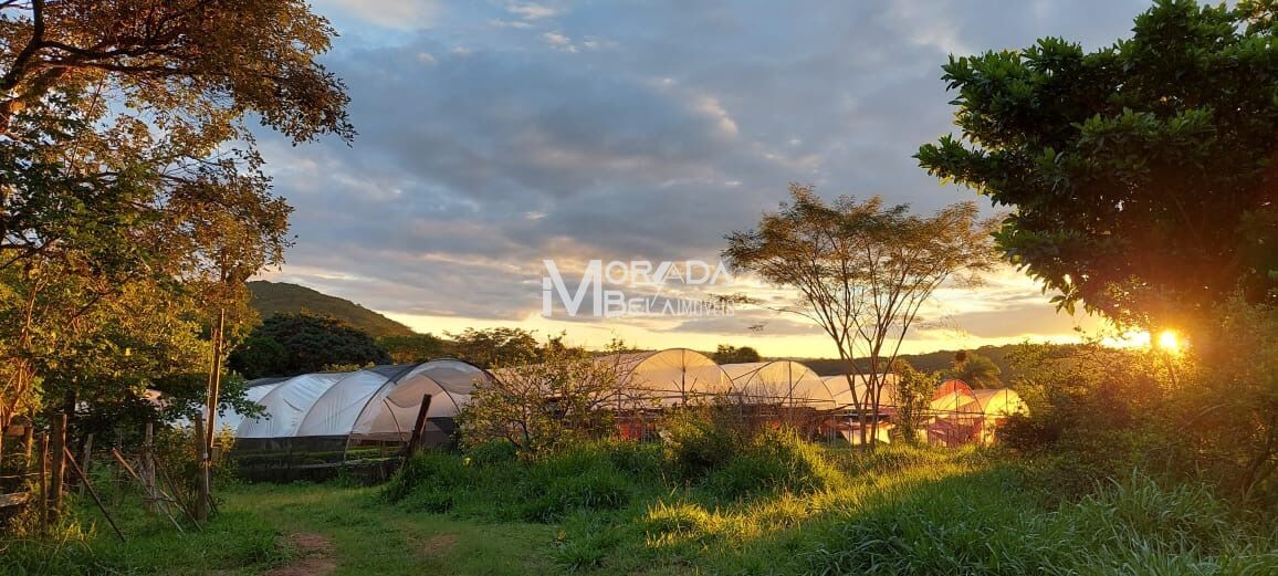 Fazenda, 2 hectares - Foto 8