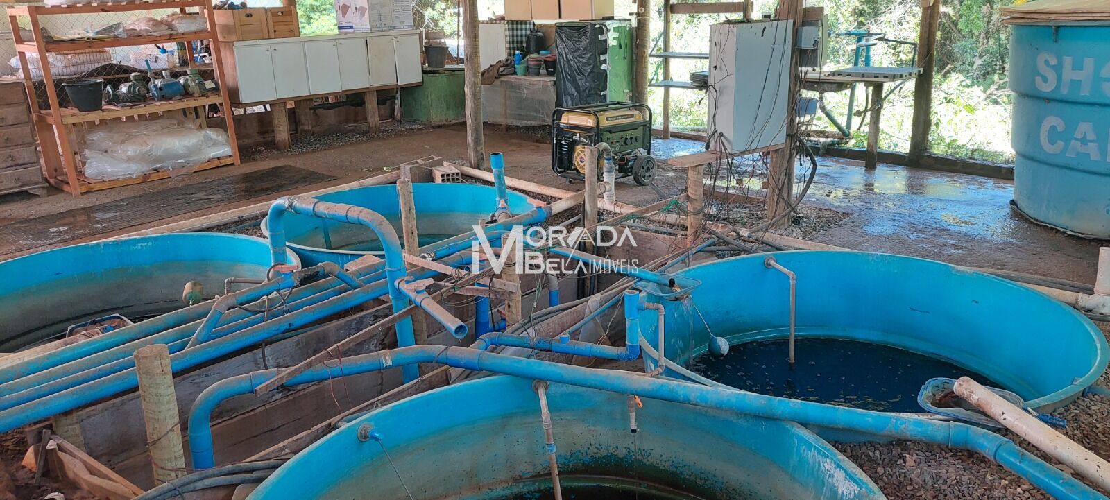 Fazenda, 2 hectares - Foto 21