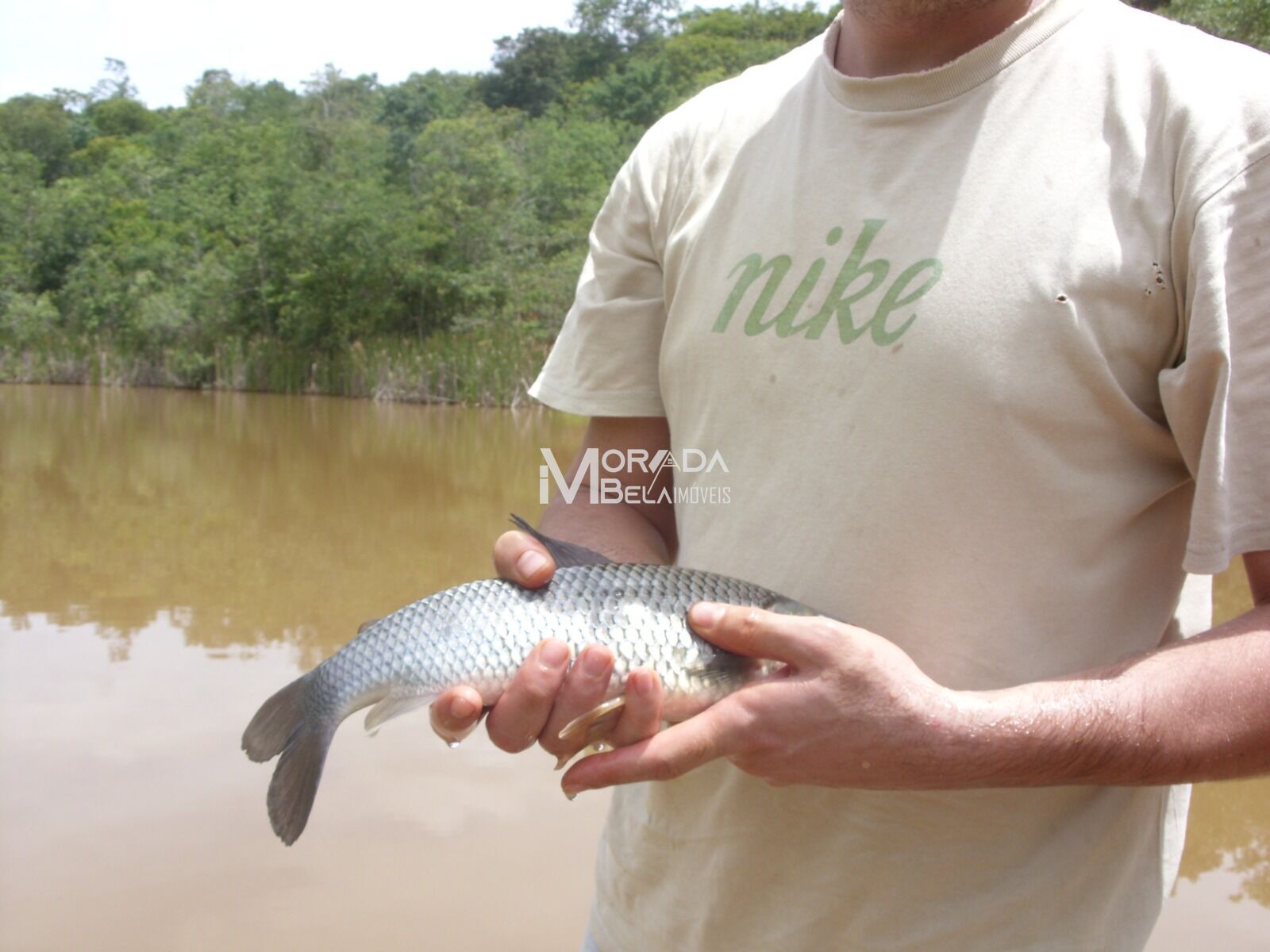 Fazenda, 2 hectares - Foto 6