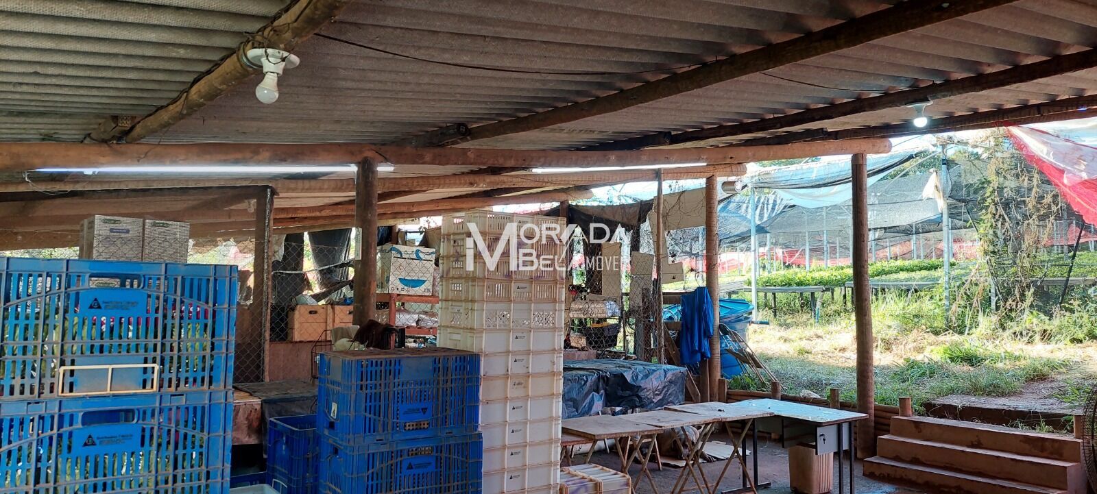 Fazenda, 2 hectares - Foto 24