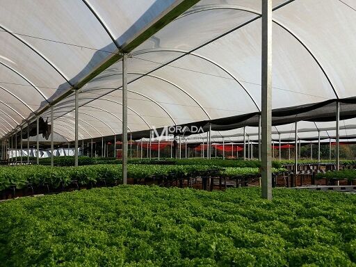 Fazenda, 2 hectares - Foto 9