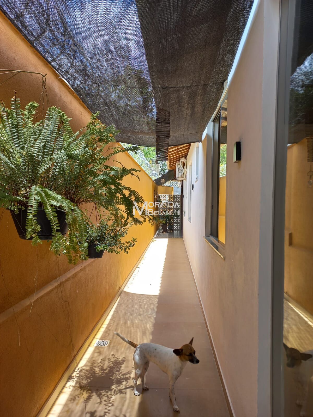 Casa, 3 quartos, 115 m² - Foto 17