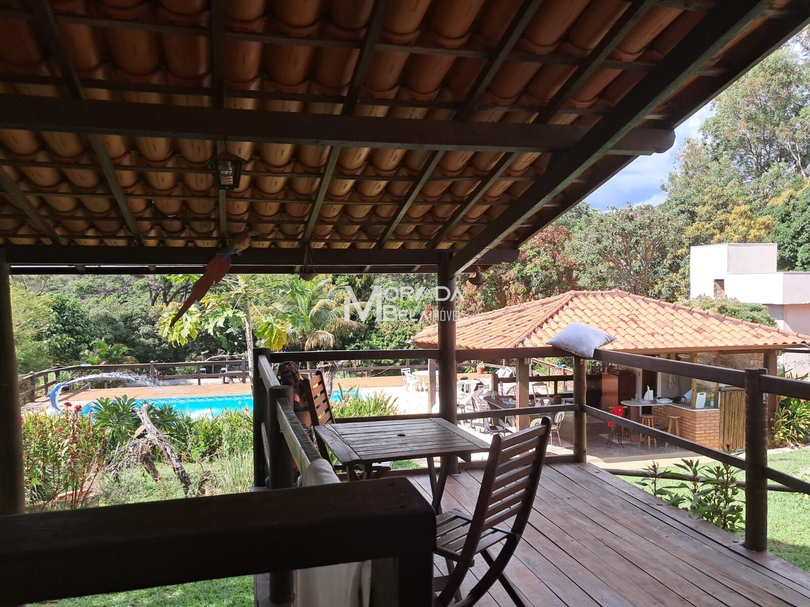 Sítio à venda com 6 quartos, 2000m² - Foto 8