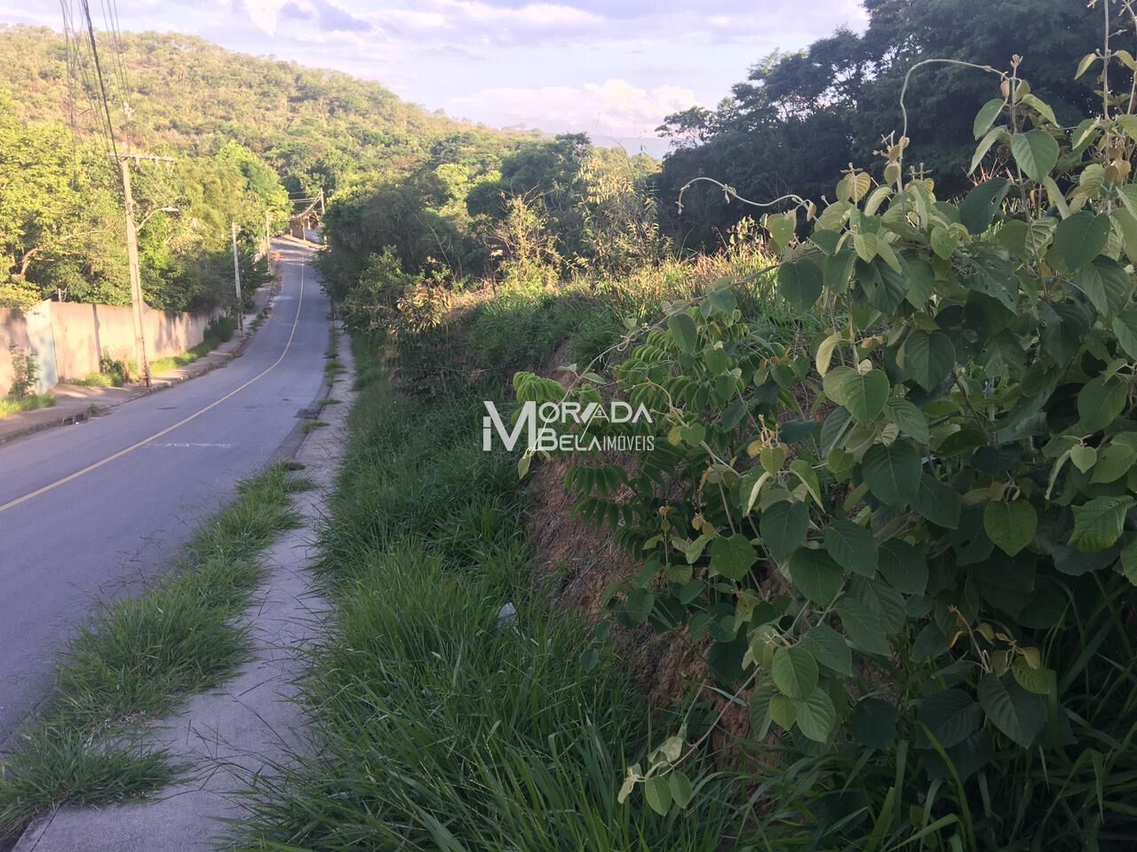 Terreno, 360 m² - Foto 5