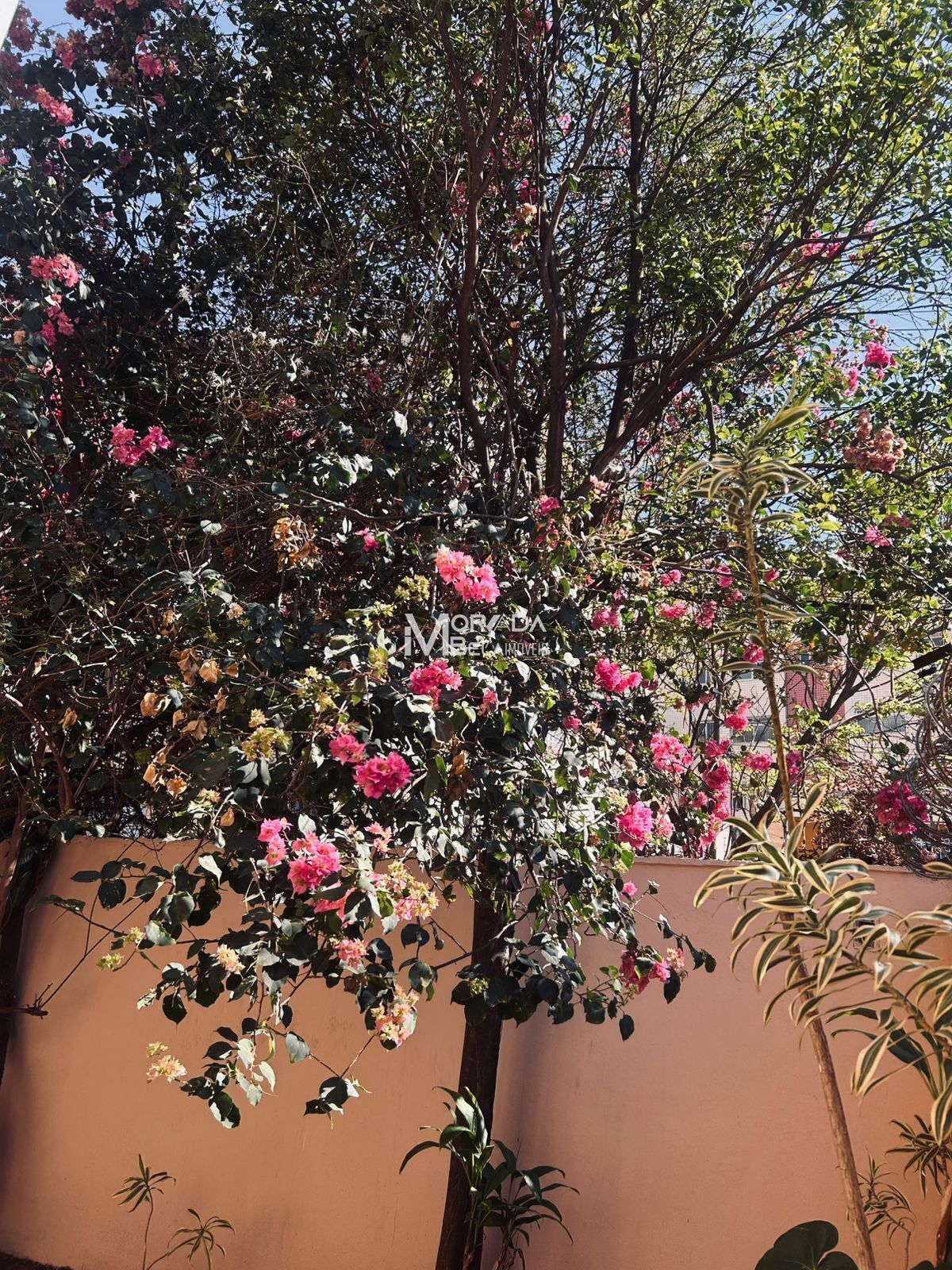 Casa, 4 quartos, 295 m² - Foto 21