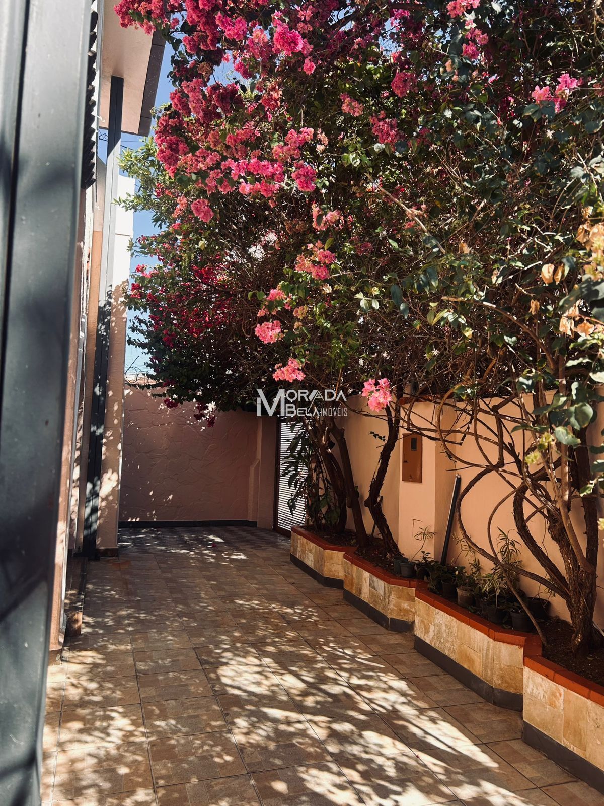 Casa, 4 quartos, 295 m² - Foto 20