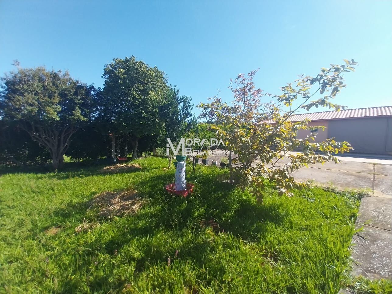 Sítio, 3 quartos, 1000 m² - Foto 8