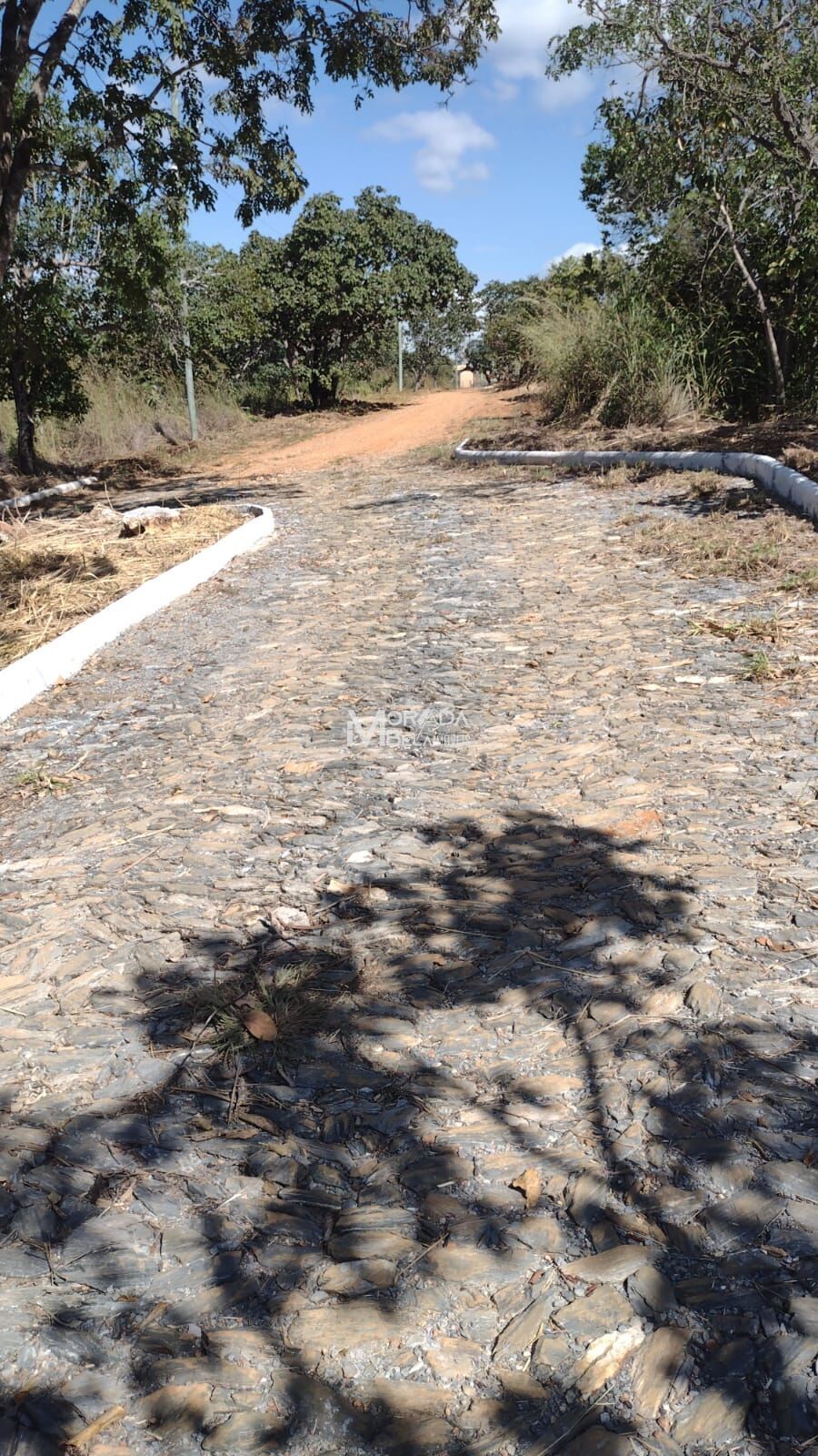 Terreno, 2 hectares - Foto 4