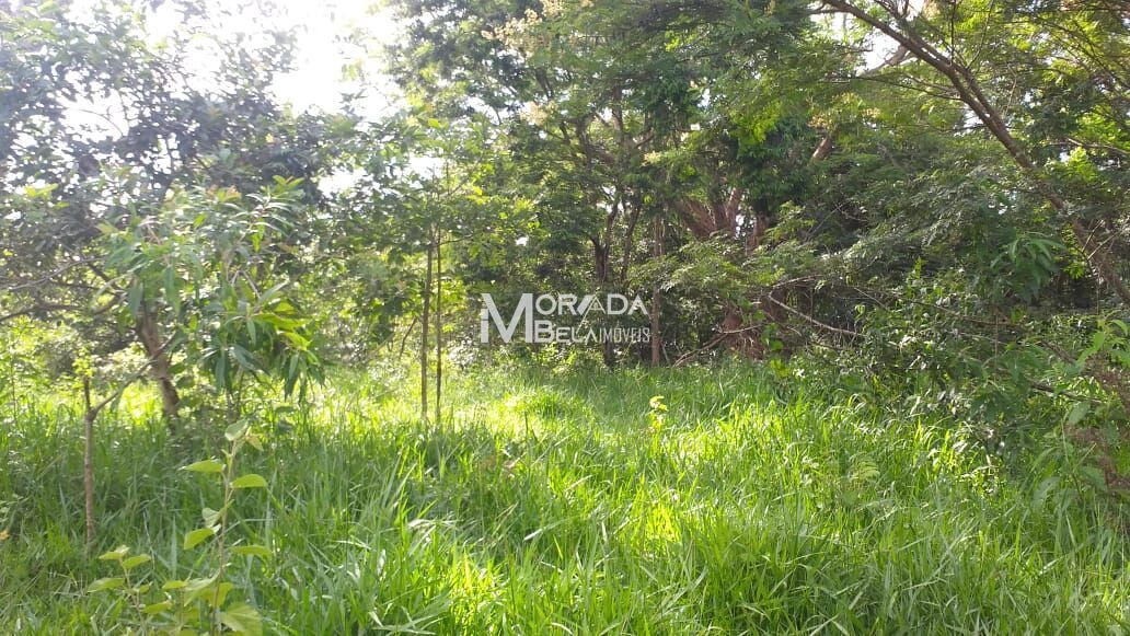 Terreno, 4 hectares - Foto 7