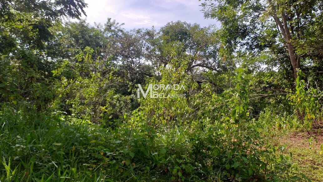 Terreno, 4 hectares - Foto 6