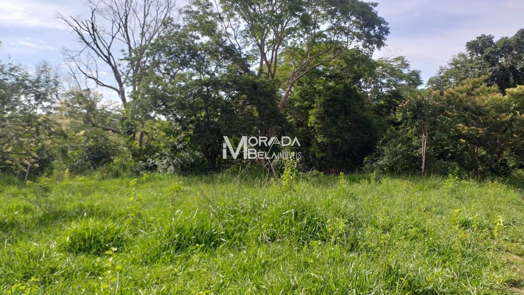 Terreno, 4 hectares - Foto 8