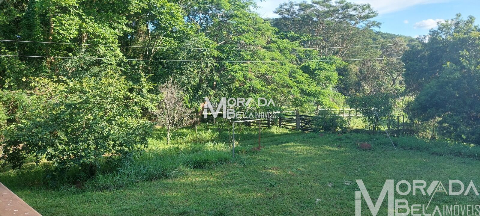 Terreno, 4 hectares - Foto 9
