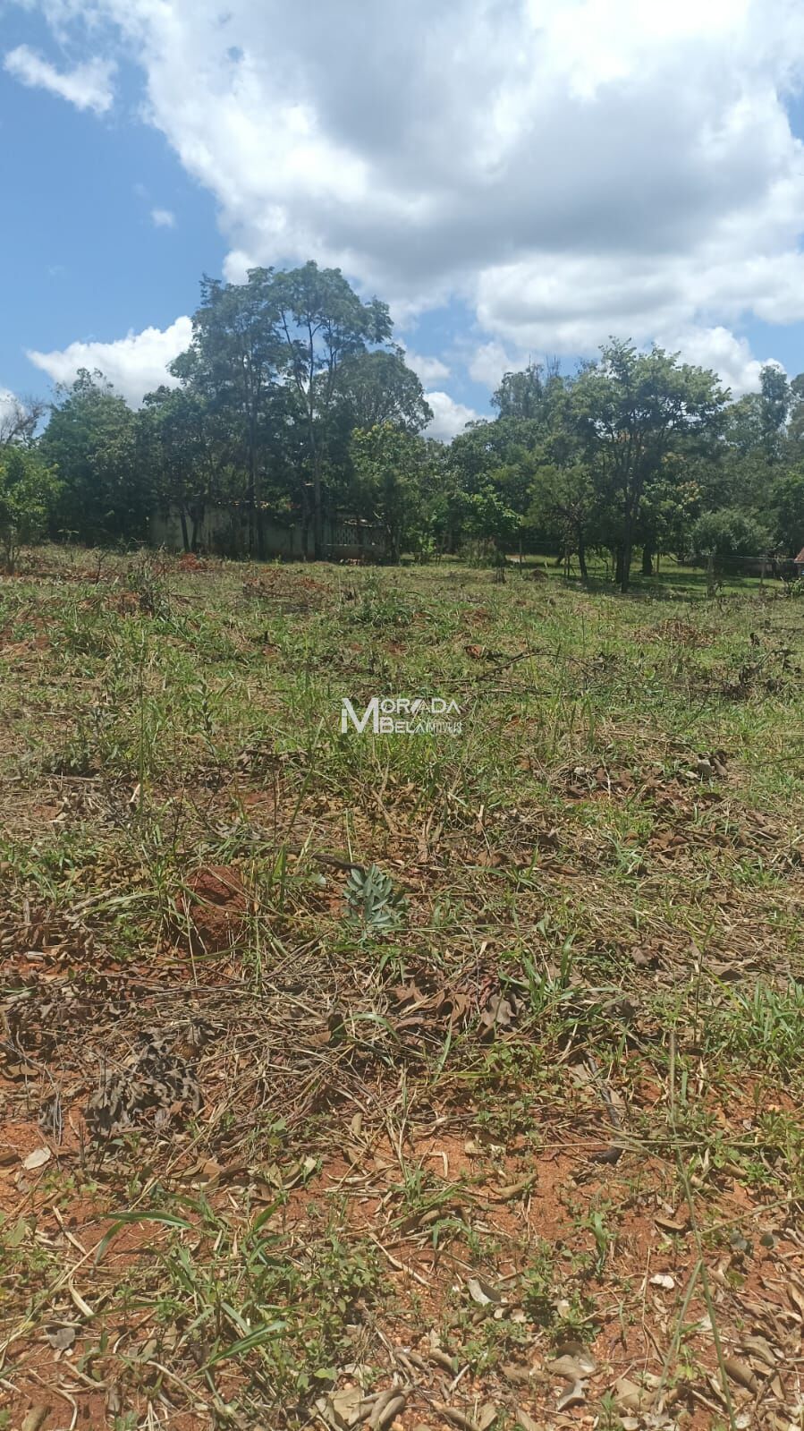 Terreno, 1000 m² - Foto 2