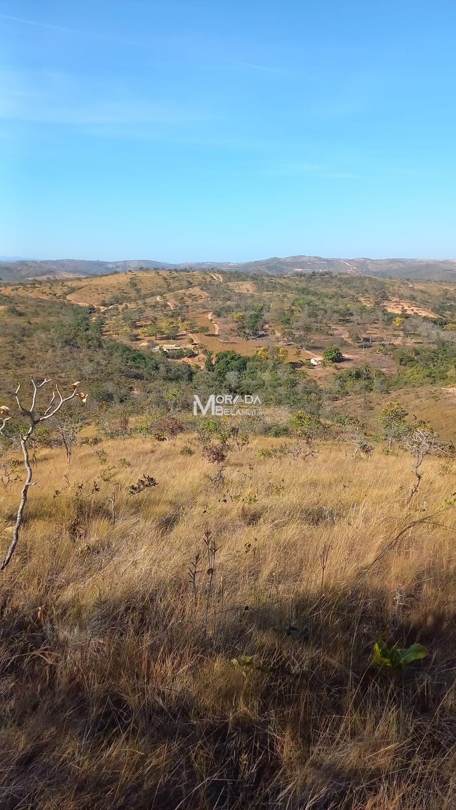 Terreno, 9650 m² - Foto 7