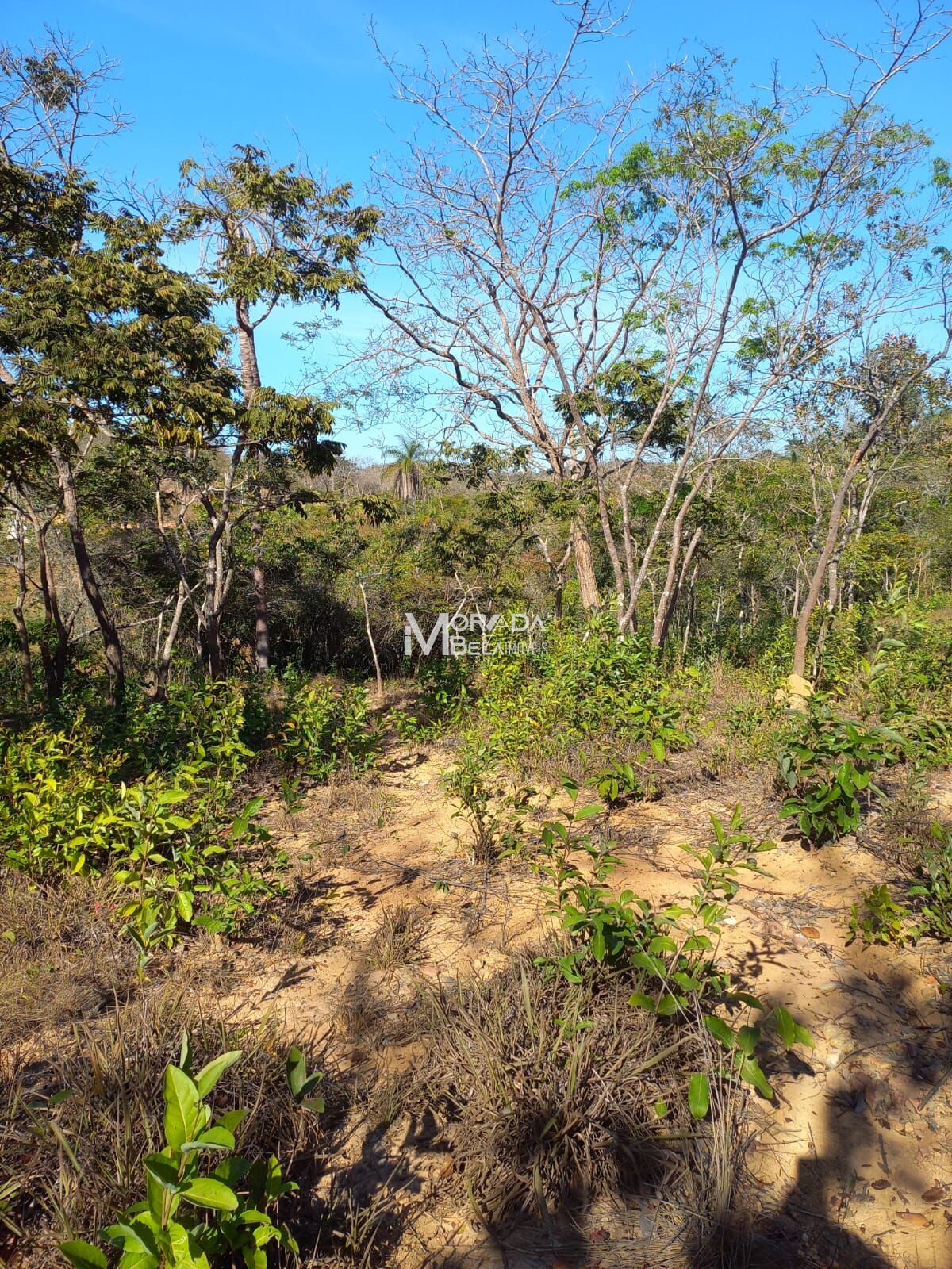 Terreno, 9650 m² - Foto 3