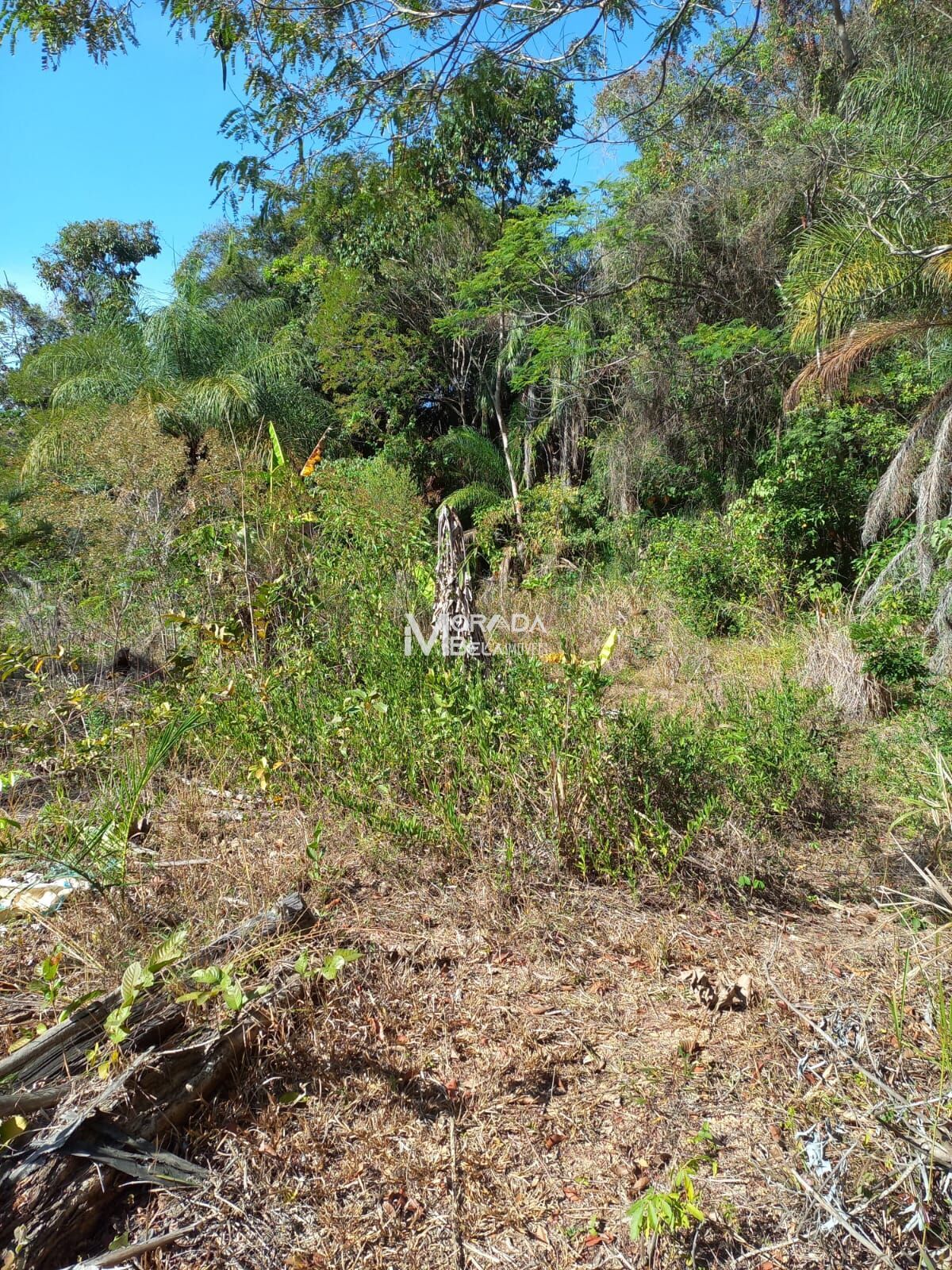 Terreno, 9650 m² - Foto 5