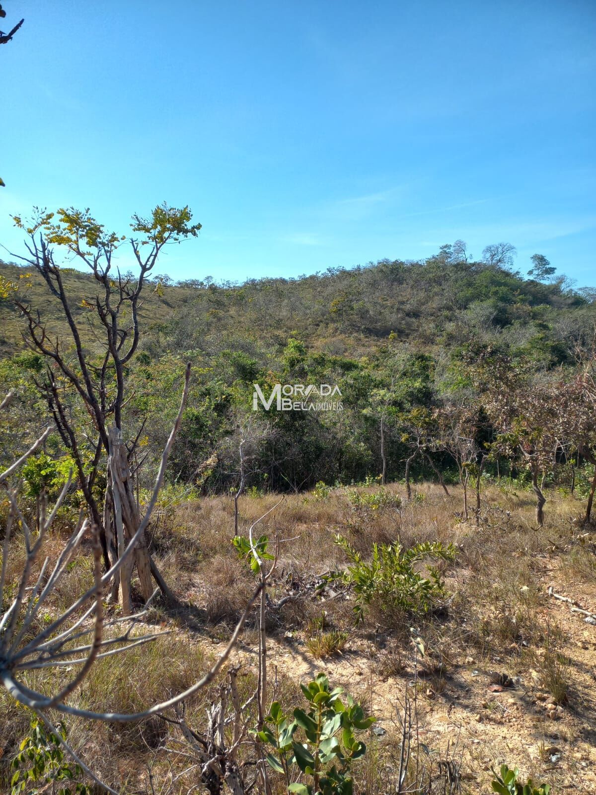 Terreno, 9650 m² - Foto 2